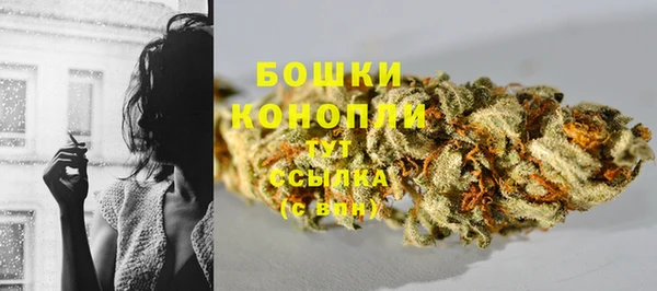 гидра Верея