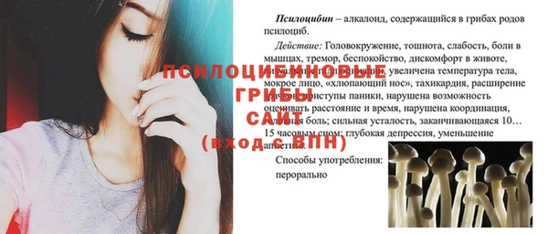 амф Сафоново